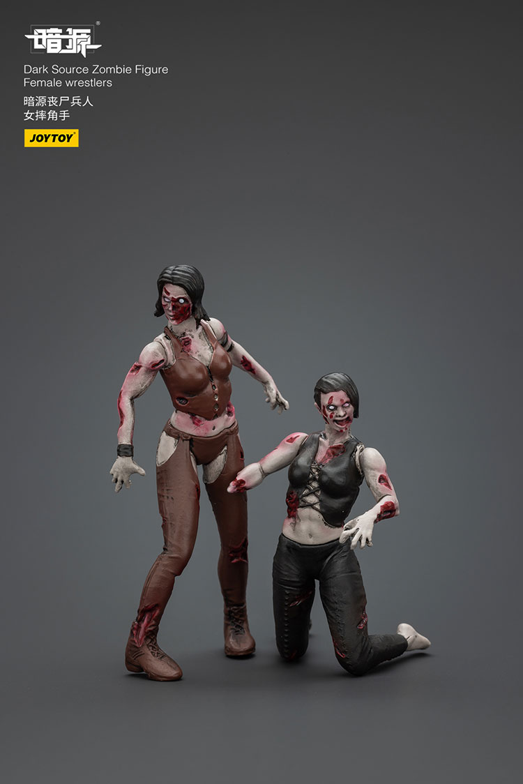Dark Source Zombie Figure Female wrestlers - main product image