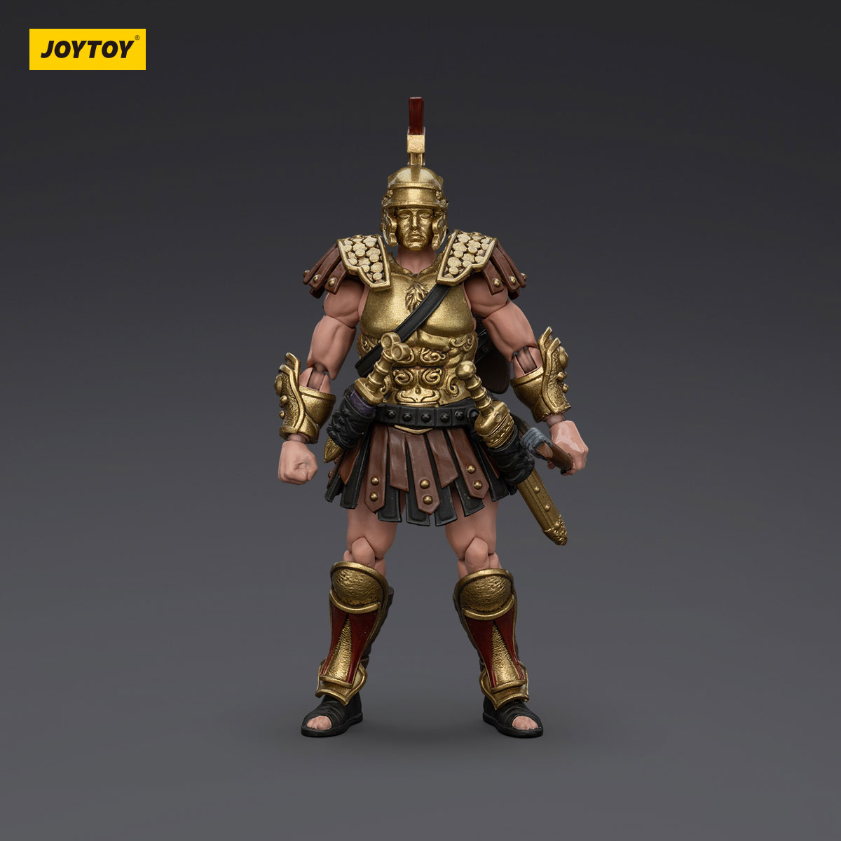 Roman Republic Cohort Iv Centurion - view 8