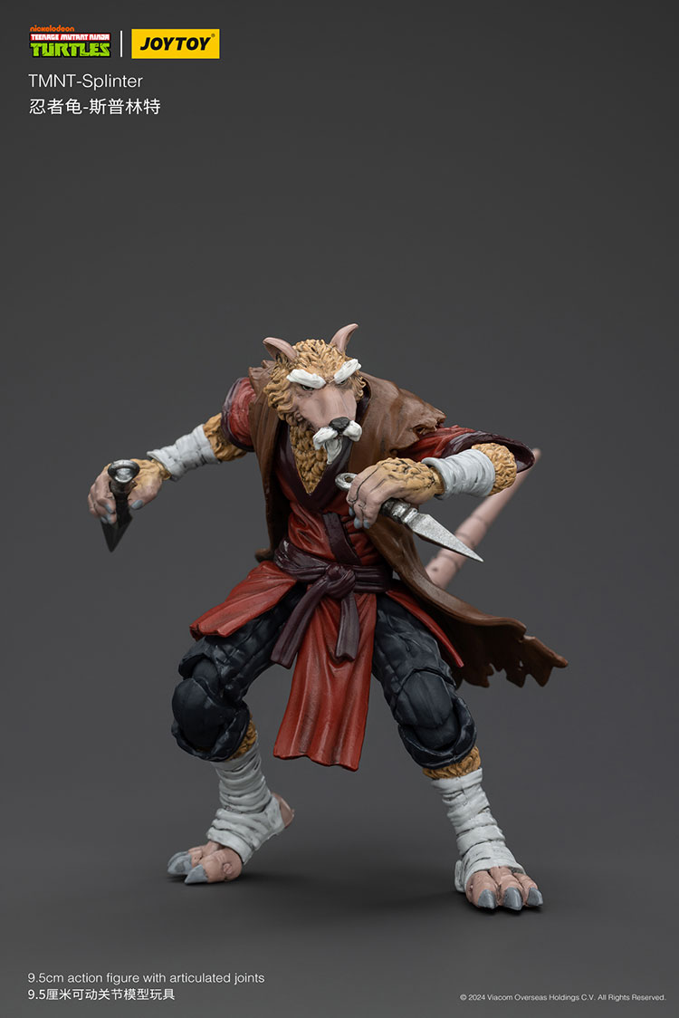 TMNT-Splinter - view 7