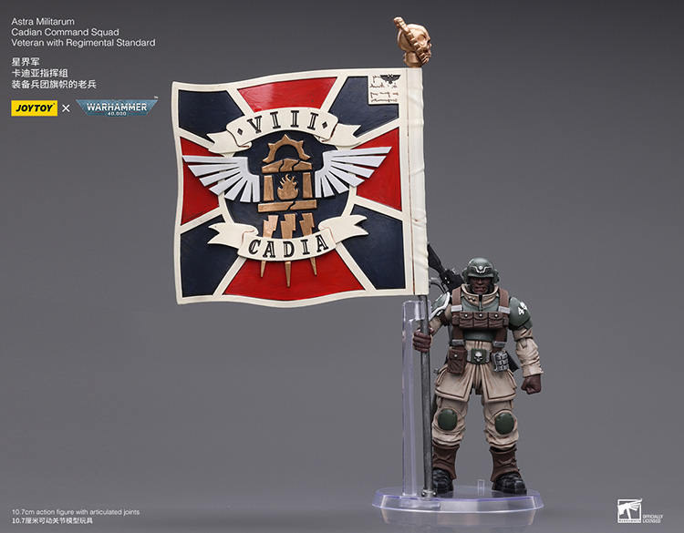 Astra Militarum Cadian Command Squad Veteran with Regimental Standard - main product image