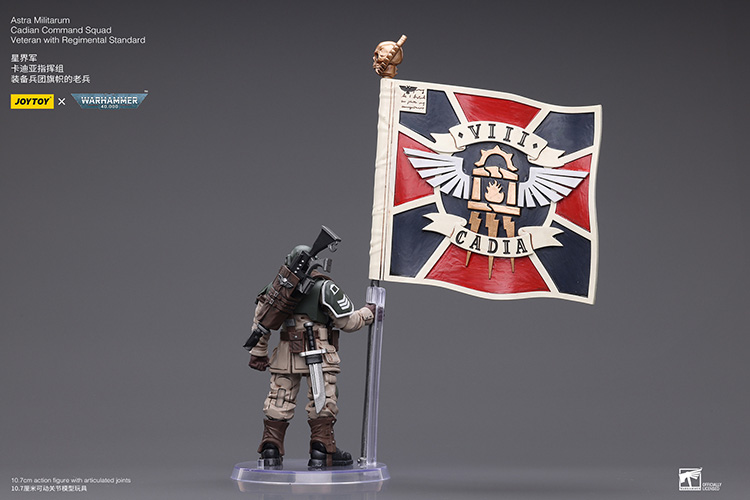 Astra Militarum Cadian Command Squad Veteran with Regimental Standard - view 2
