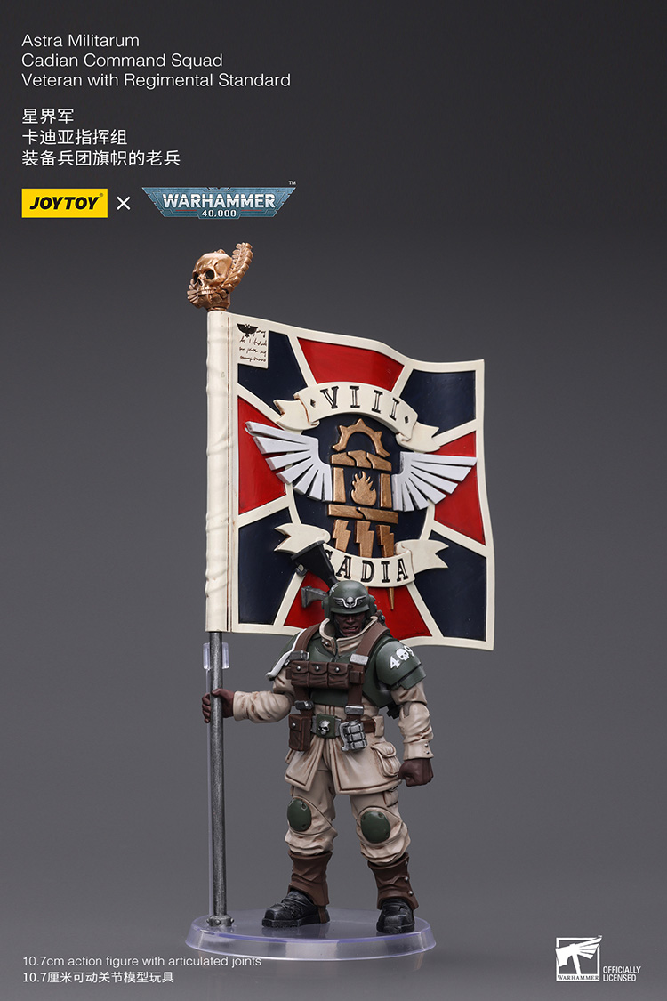 Astra Militarum Cadian Command Squad Veteran with Regimental Standard - view 6