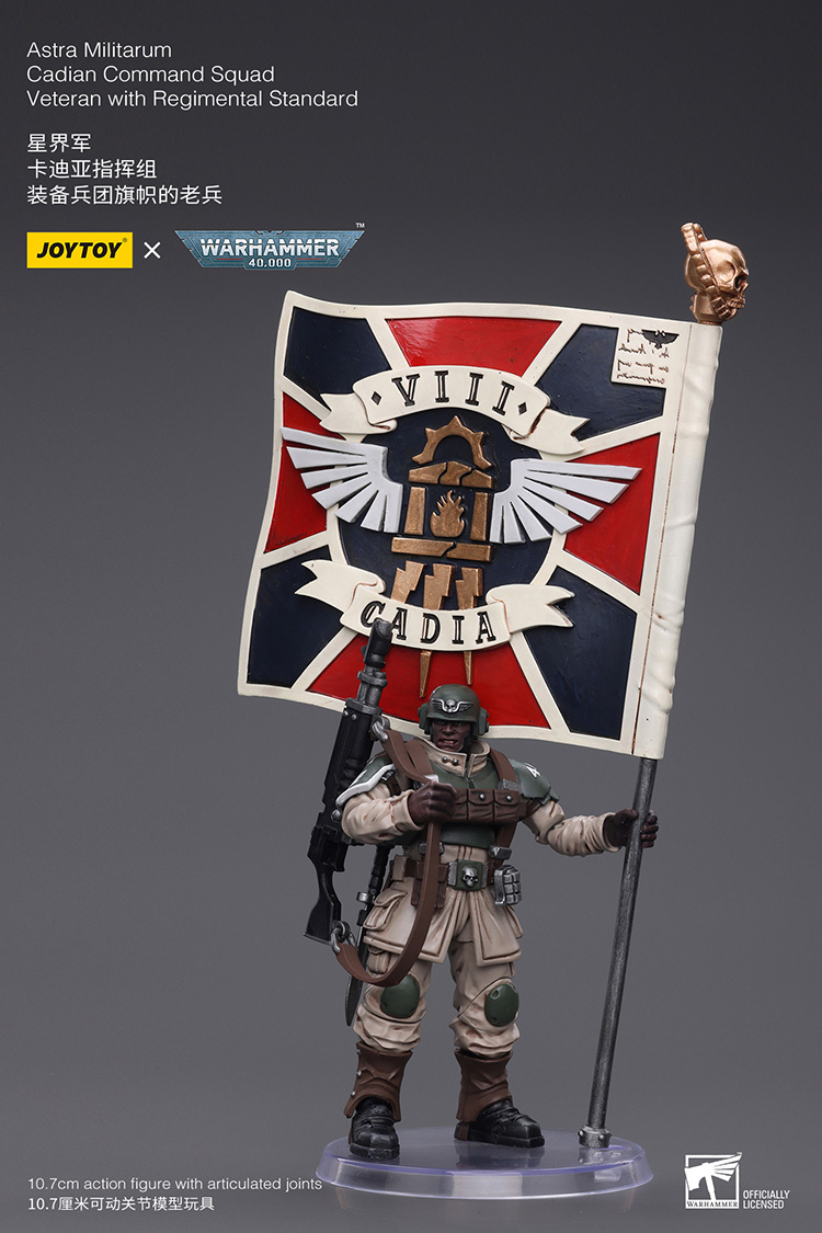 Astra Militarum Cadian Command Squad Veteran with Regimental Standard - view 9