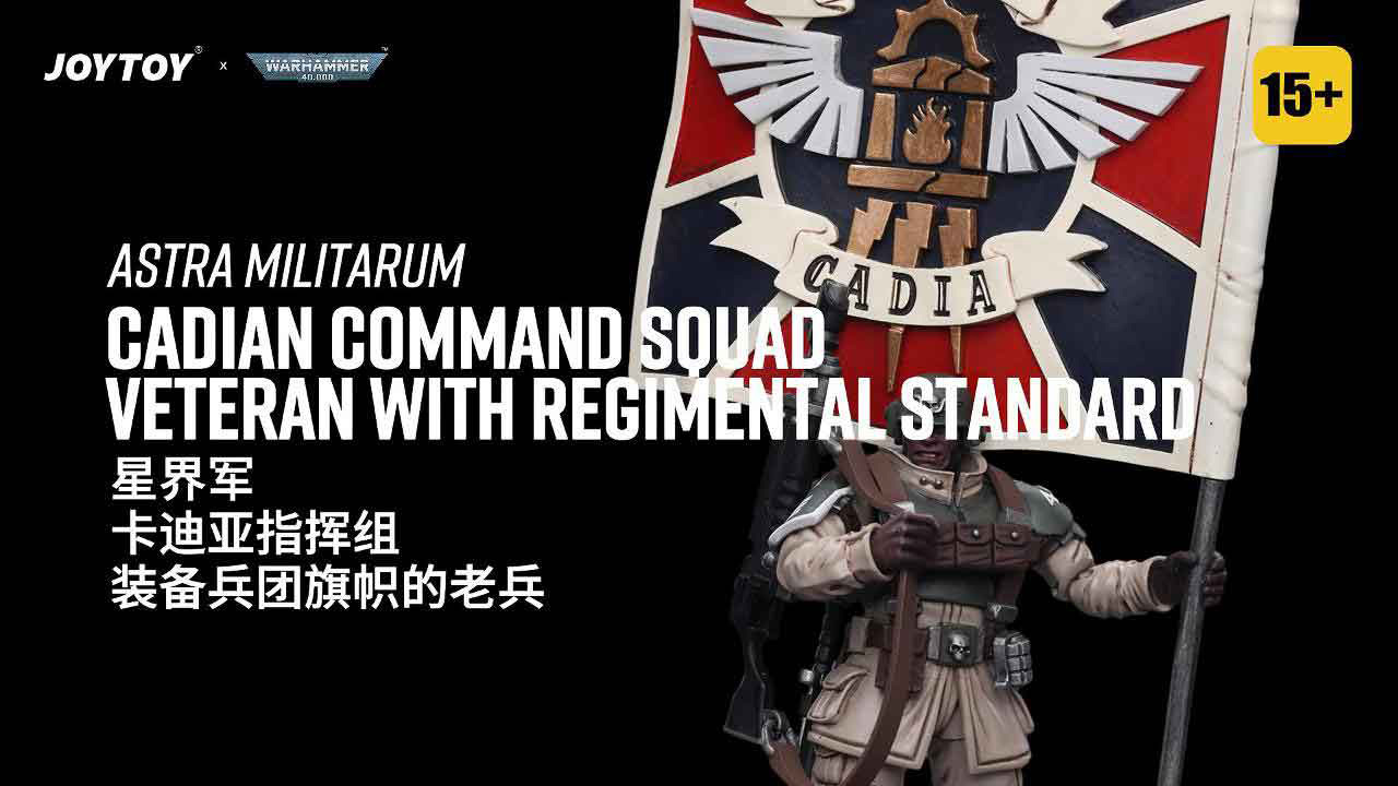 Astra Militarum Cadian Command Squad Veteran with Regimental Standard - view 20