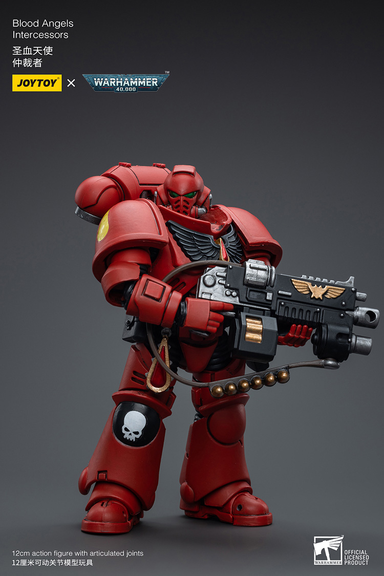 Blood Angels Intercessors - view 3