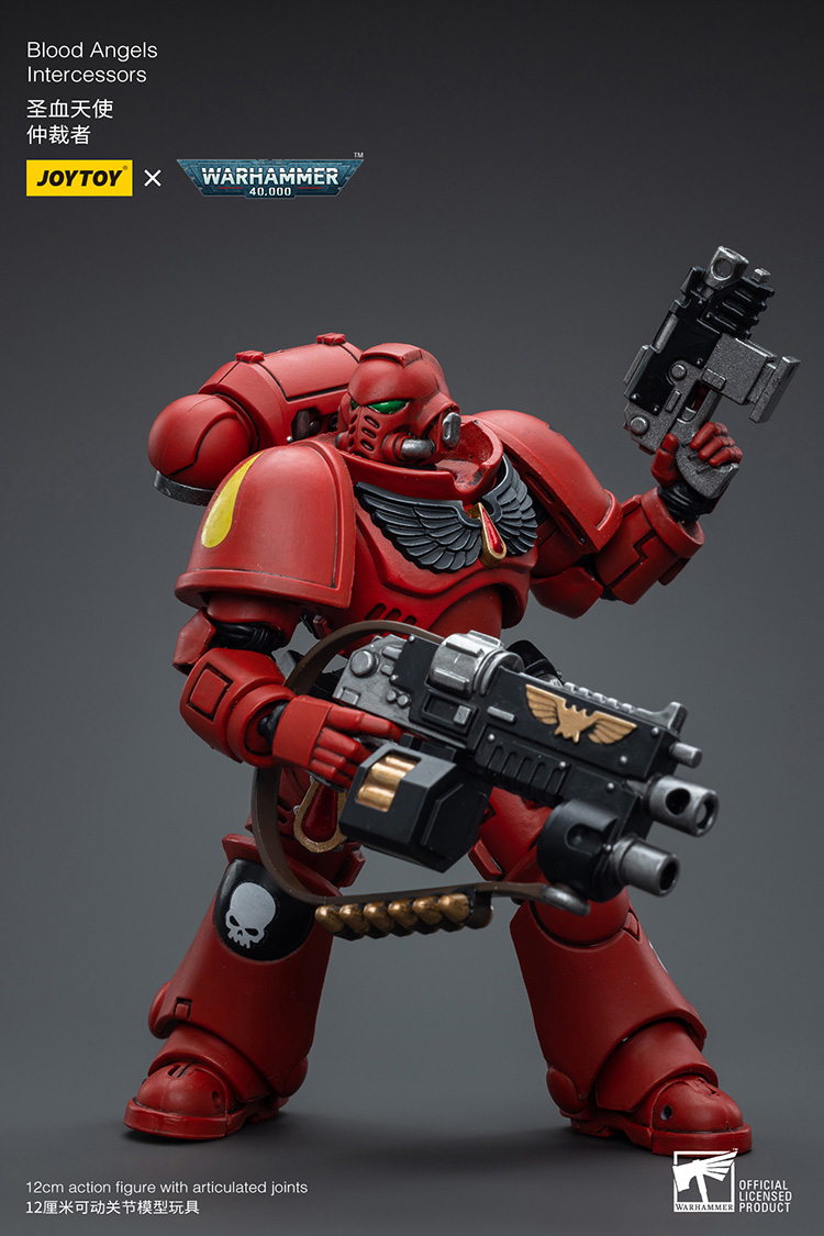 Blood Angels Intercessors - view 7