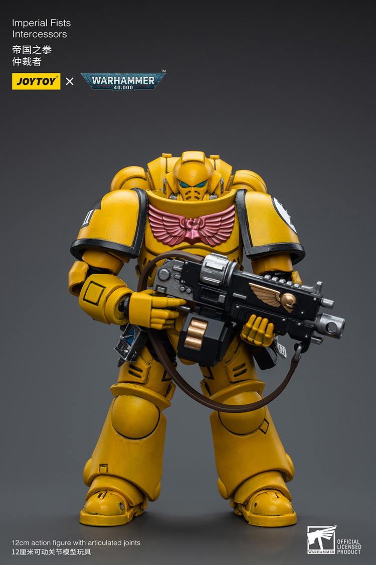 Imperial Fists Intercessors - main product image