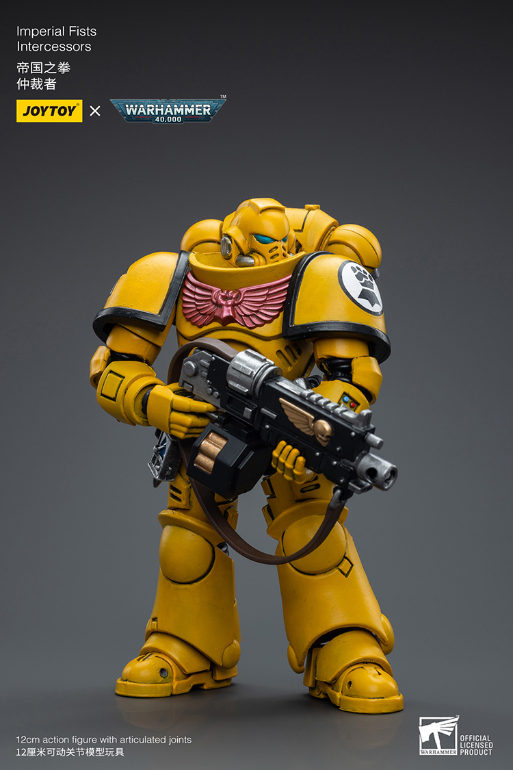 Imperial Fists Intercessors - view 3