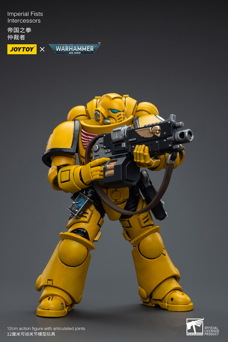 Imperial Fists Intercessors - view 4