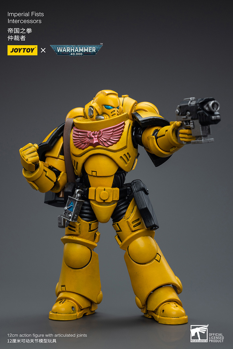 Imperial Fists Intercessors - view 7