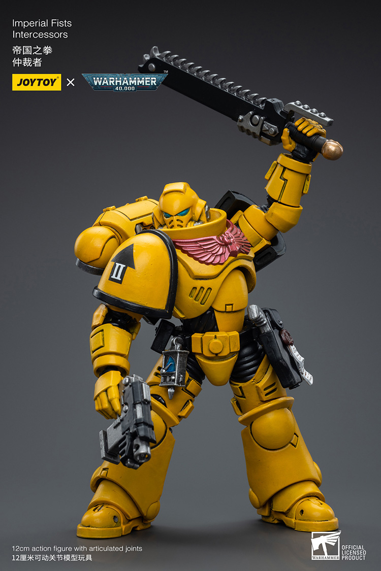 Imperial Fists Intercessors - view 8