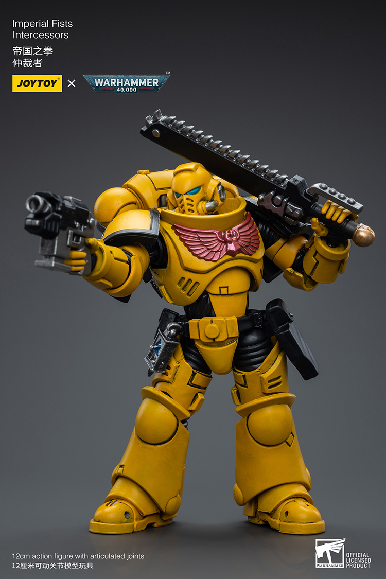 Imperial Fists Intercessors - view 9