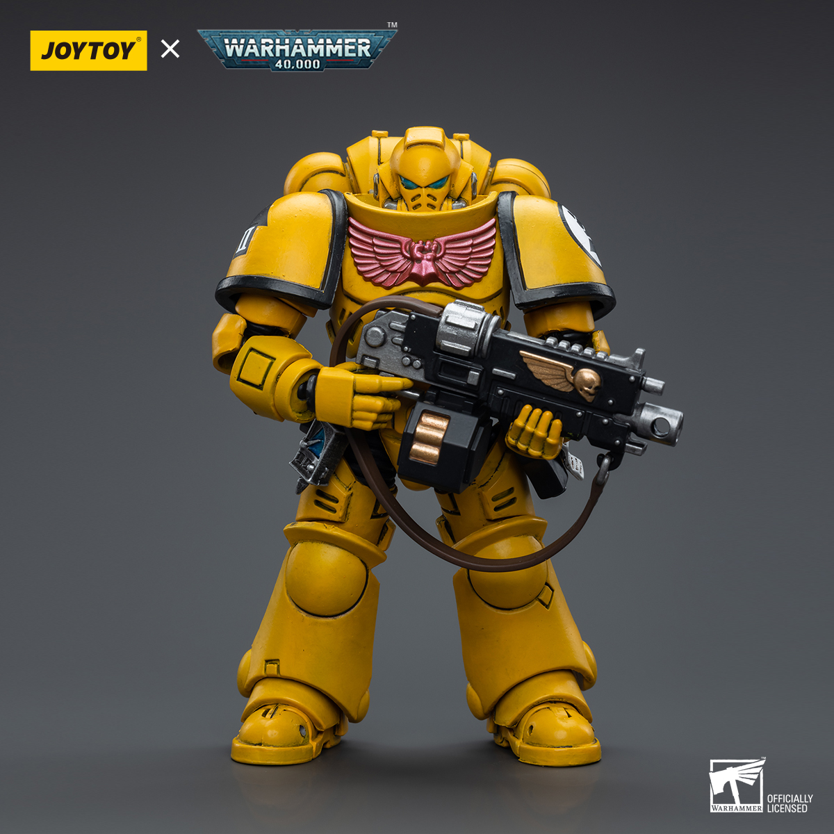 Imperial Fists Intercessors - view 11