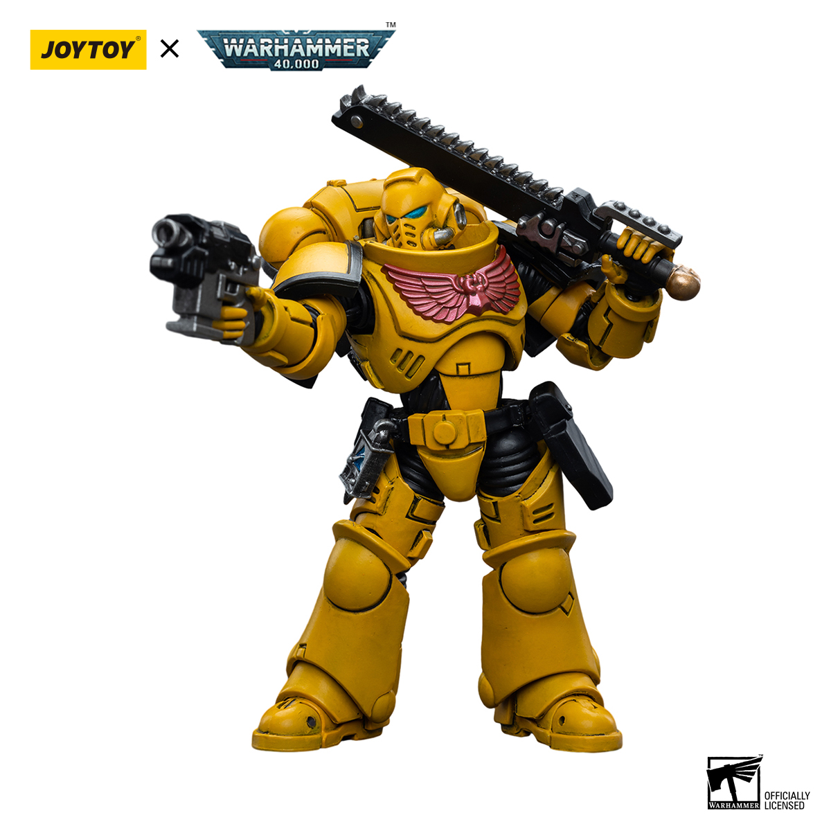 Imperial Fists Intercessors - view 12