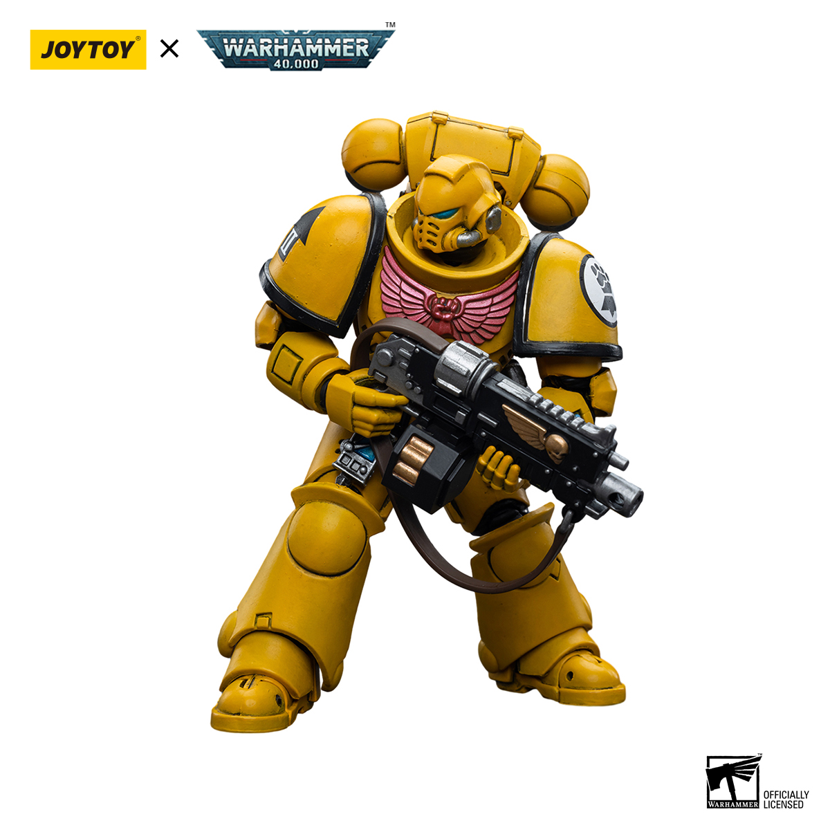 Imperial Fists Intercessors - view 14
