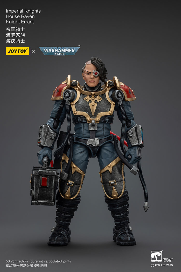 Imperial Knights House Raven Knight Errant - view 23