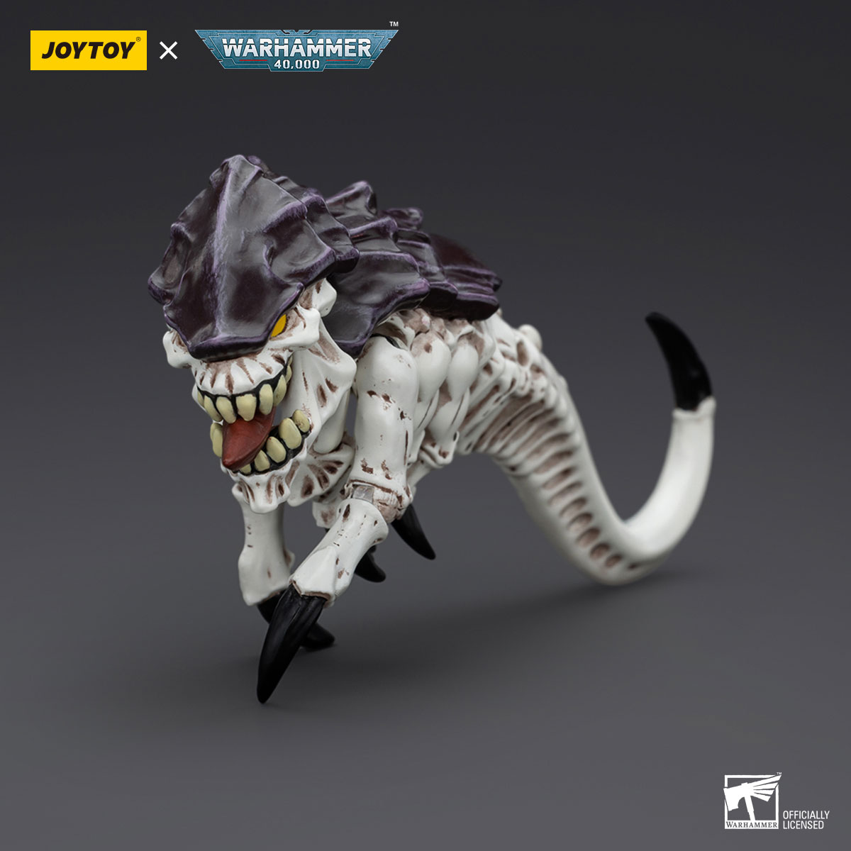 Tyranids Hive Fleet Leviathan Ripper - view 21