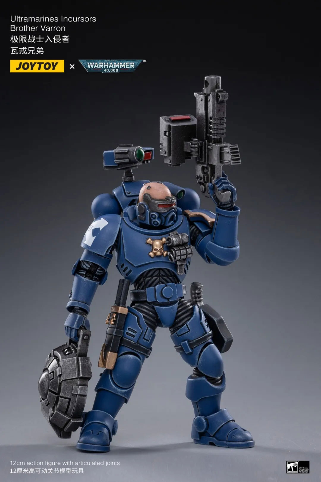 ULTRAMARINES INCURSORS - view 2