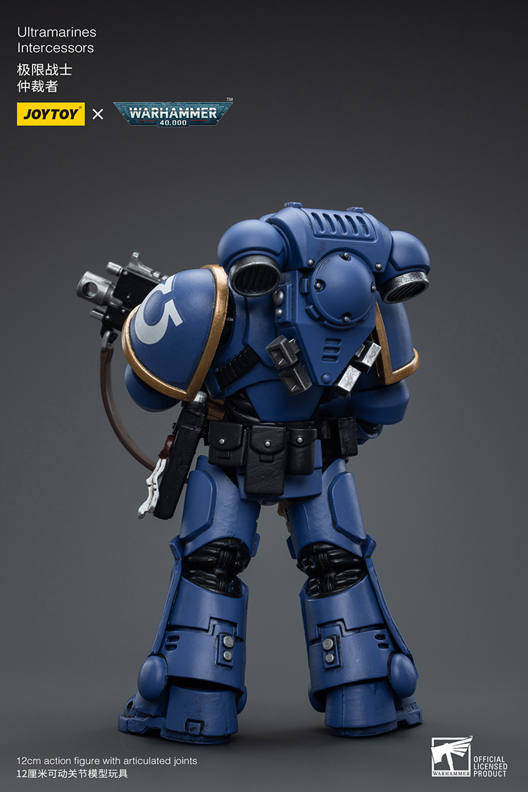 Ultramarines Intercessors - view 2