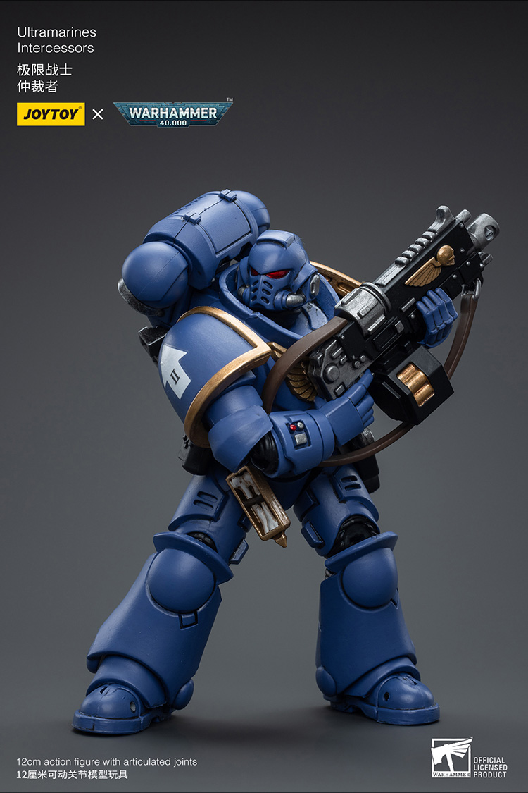 Ultramarines Intercessors - view 4