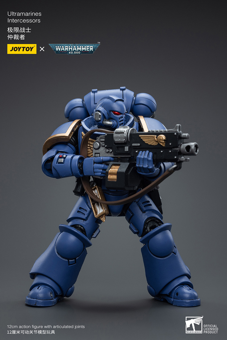 Ultramarines Intercessors - view 6