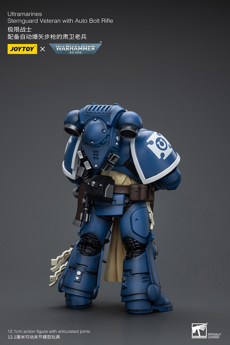 Ultramarines Sternguard Veteran with Auto Bolt Rifle - view 2