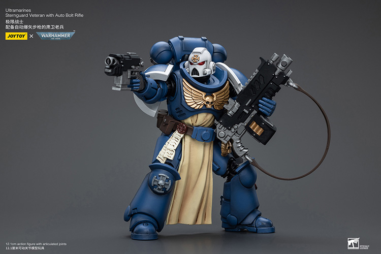 Ultramarines Sternguard Veteran with Auto Bolt Rifle - view 4