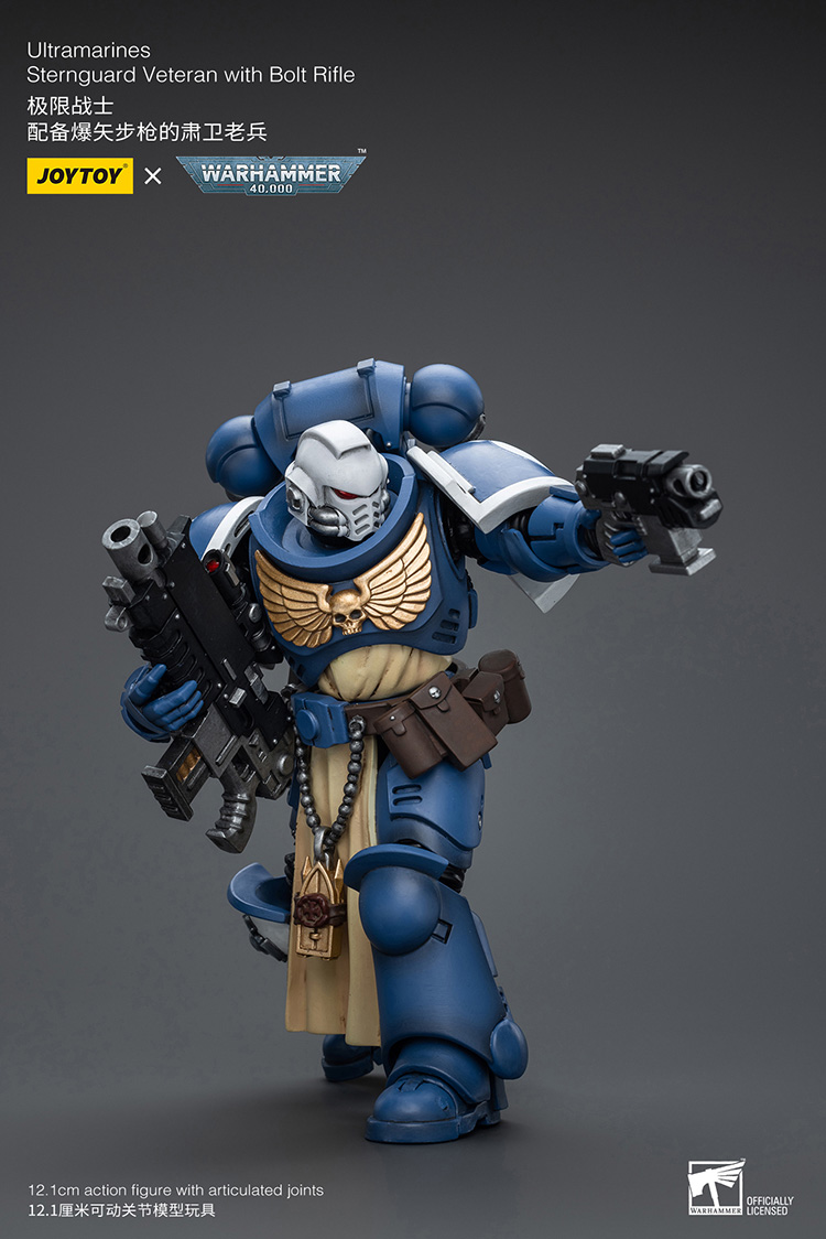 Ultramarines Sternguard Veteran with Bolt Rifle - view 4